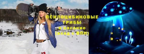 мдпв Арсеньев